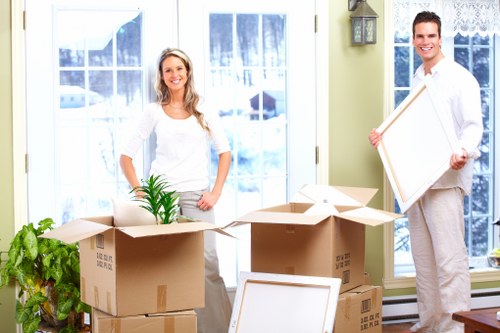 Professional man and van team handling boxes and appliances